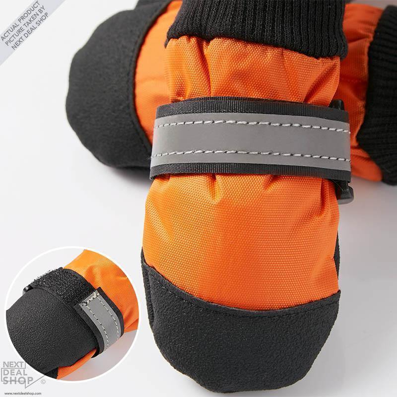 Botas para Mascotas: ¡Protege a Tu Mejor Amigo, Sea Cual Sea La Estación Del Año!
