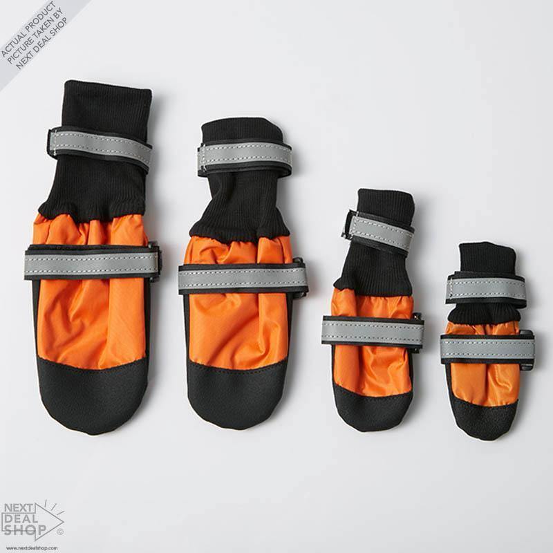 Botas para Mascotas: ¡Protege a Tu Mejor Amigo, Sea Cual Sea La Estación Del Año!