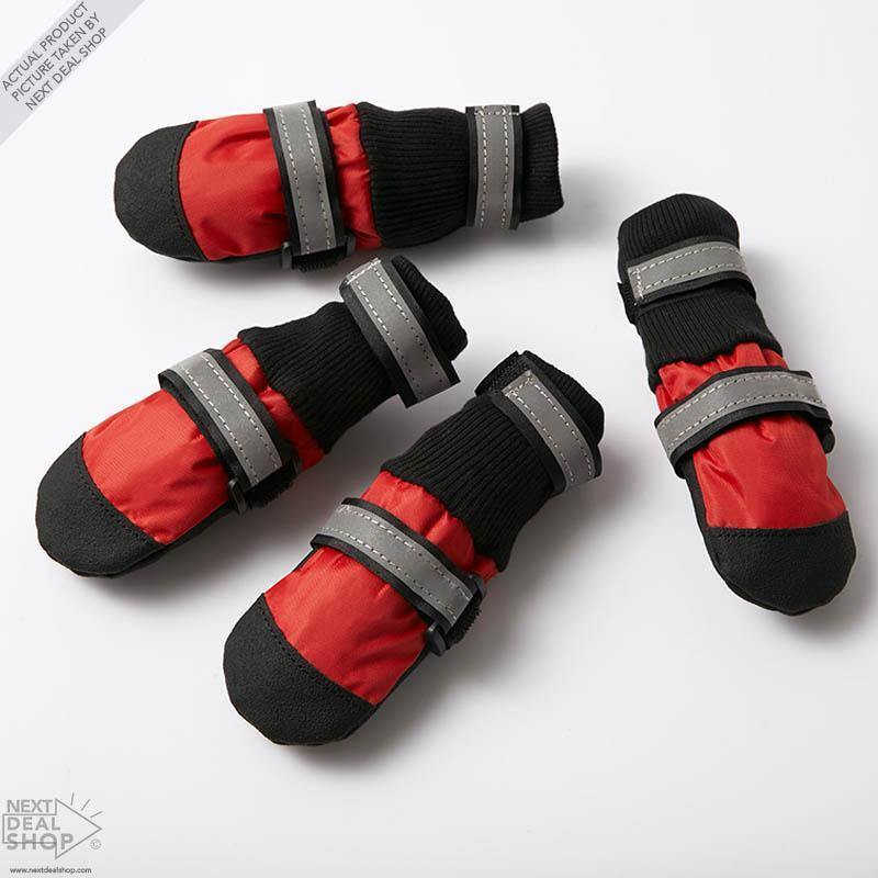 Botas para Mascotas: ¡Protege a Tu Mejor Amigo, Sea Cual Sea La Estación Del Año!