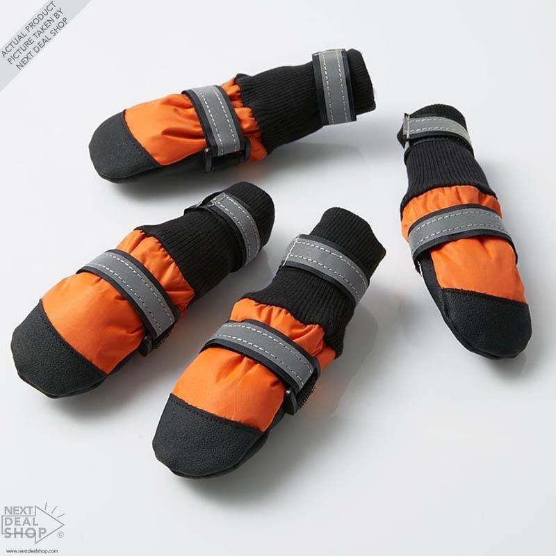 Botas para Mascotas: ¡Protege a Tu Mejor Amigo, Sea Cual Sea La Estación Del Año!